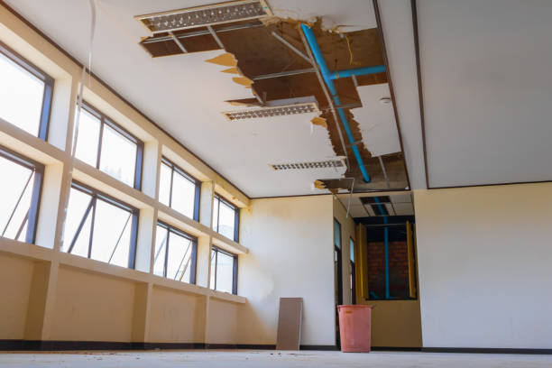 Best Water damage restoration process  in Grayson, CA