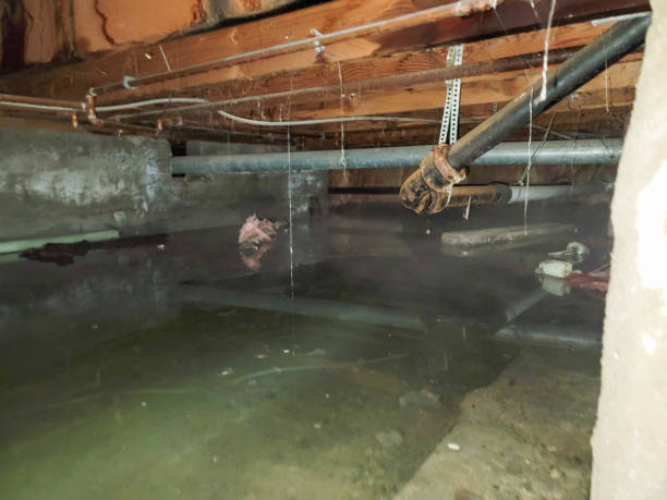 Best Local water damage restoration  in Grayson, CA