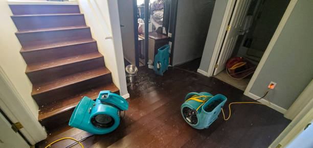 Best Ceiling water damage repair  in Grayson, CA