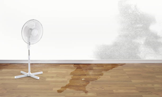 Best Flood restoration services  in Grayson, CA